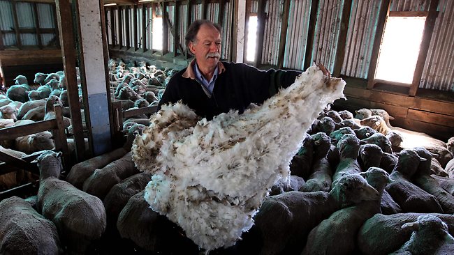 http://forums.filmnoirbuff.com/uploads/1550_062348-160213-sheep-farmer-michael-blake.jpg
