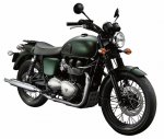 http://forums.filmnoirbuff.com/uploads/thumbs/2536_2012-triumph-bonnevillet100-stevemcqueeneditiona-small.jpg